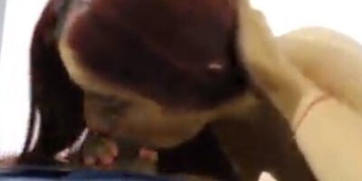 PORN HUB ซอยหีเด็ดเย็ดมันส์ เซ็กส์กับฝรั่งควยใหญ่ เย็ดหีบาน สาวร่านควย XXX18+